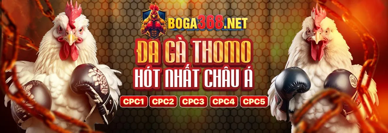 Phân Tích Chiến Kê